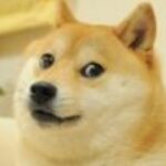 Picture of Doge