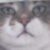rusty Avatar