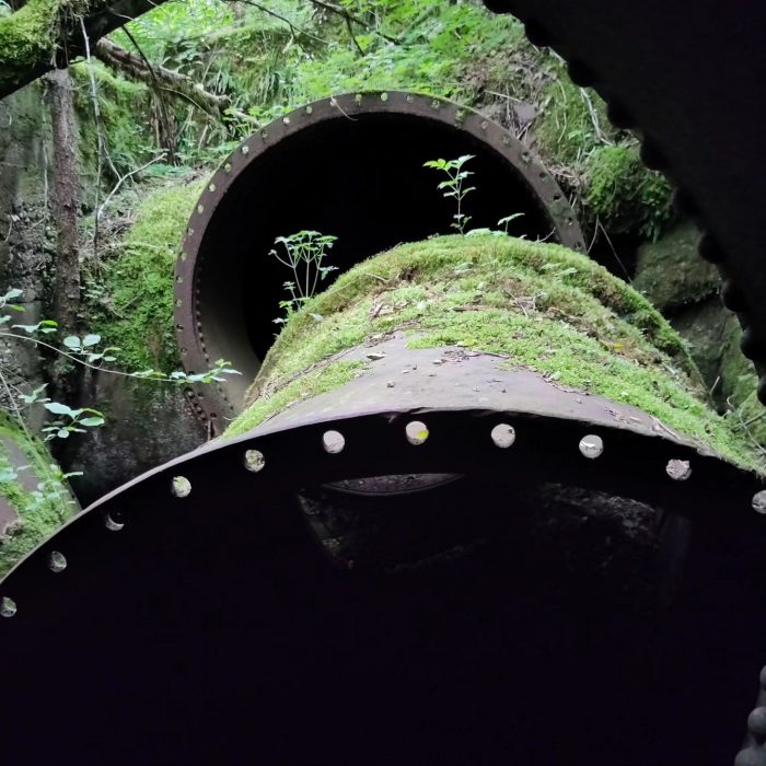 Abandoned rusty pipes from a lost place with moss and plants overgrowth in a lush, natural setting.