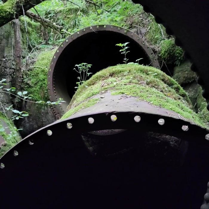Abandoned rusty pipes from a lost place with moss and plants overgrowth in a lush, natural setting. Place found on the lost places map