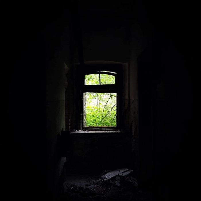 Abandoned room with historic arched window framing vibrant nature outside.